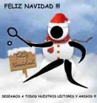 TORNEO DE NAVIDAD 2014-15. Finales